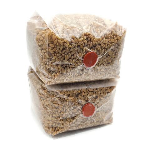 The Bulk of the Work Done for You! Our Pre-pasteurized CVG Bulk House Substrate perfect for growing all kinds of mushrooms, we even do all the hard work for . . Bulk mushroom substrate